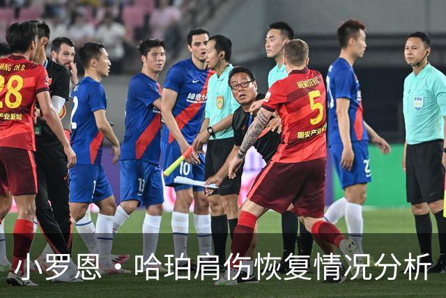小罗恩·哈珀肩伤恢复情况分析
